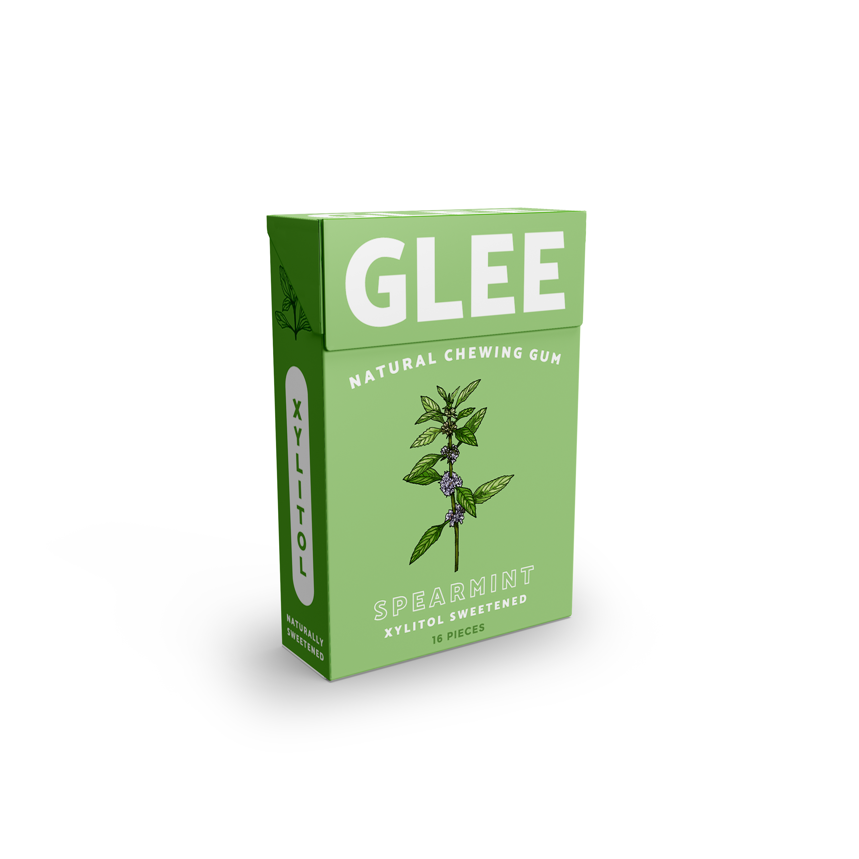Glee-Top Flip Box-34-11