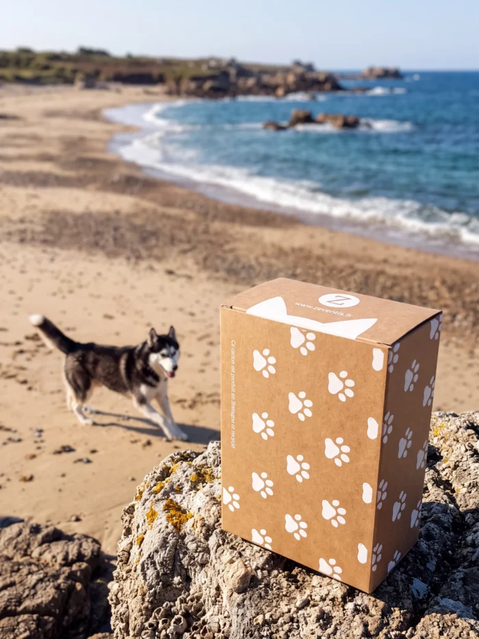 Boîte en carton recyclé à motif pattes de la marque bretonne Zenventis, posée sur un rocher face à la mer, avec un chien en arrière-plan
